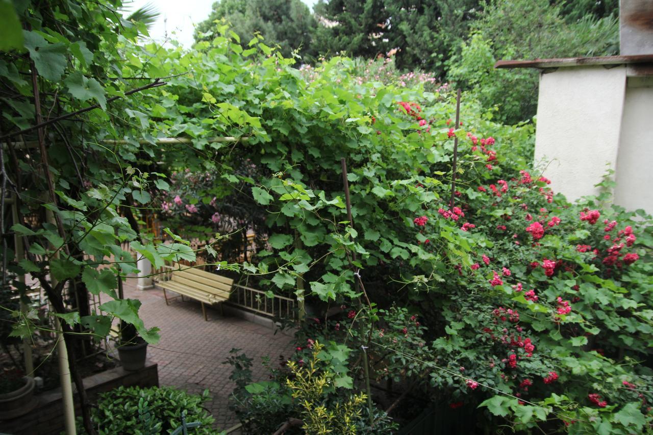 טביליסי Guesthouse Different מראה חיצוני תמונה