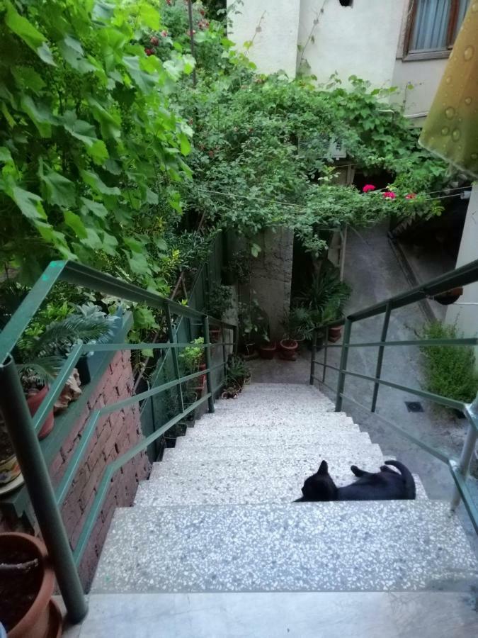 טביליסי Guesthouse Different מראה חיצוני תמונה